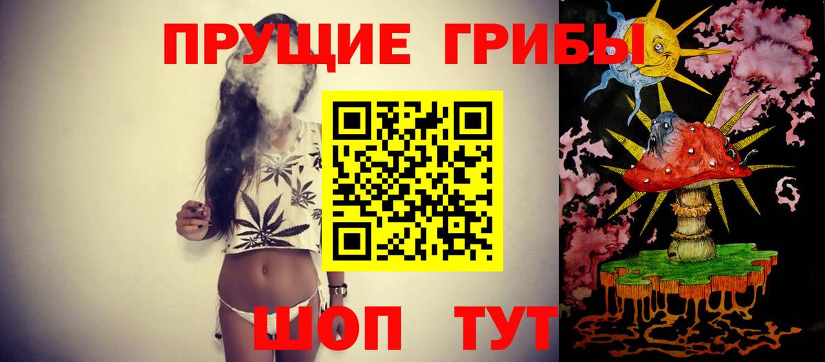 Каменск-Шахтинский  Псилоцибиновые грибы мицелий  Вход с VPN  купить наркоту  Псилоцибиновые грибы Psilocybine cubensis 